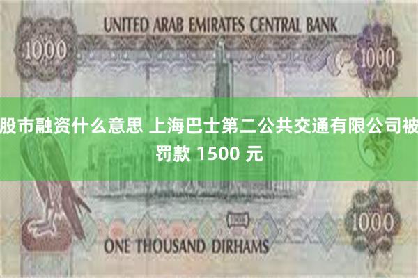 股市融资什么意思 上海巴士第二公共交通有限公司被罚款 1500 元