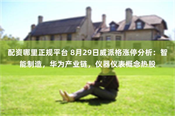 配资哪里正规平台 8月29日威派格涨停分析：智能制造，华为产业链，仪器仪表概念热股