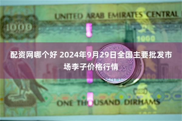 配资网哪个好 2024年9月29日全国主要批发市场李子价格行情