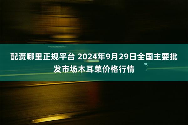 配资哪里正规平台 2024年9月29日全国主要批发市场木耳菜价格行情