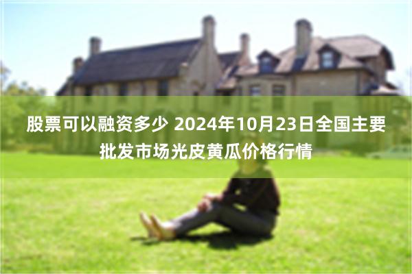 股票可以融资多少 2024年10月23日全国主要批发市场光皮黄瓜价格行情