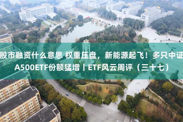 股市融资什么意思 权重压盘，新能源起飞！多只中证A500ETF份额猛增丨ETF风云周评（三十七）