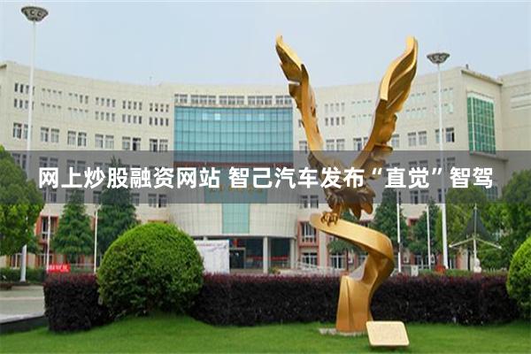 网上炒股融资网站 智己汽车发布“直觉”智驾