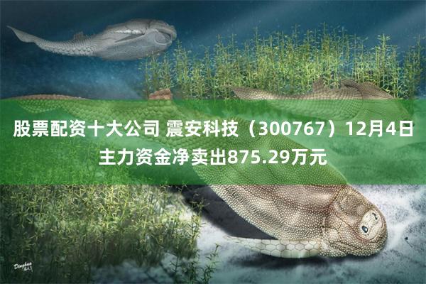 股票配资十大公司 震安科技（300767）12月4日主力资金净卖出875.29万元