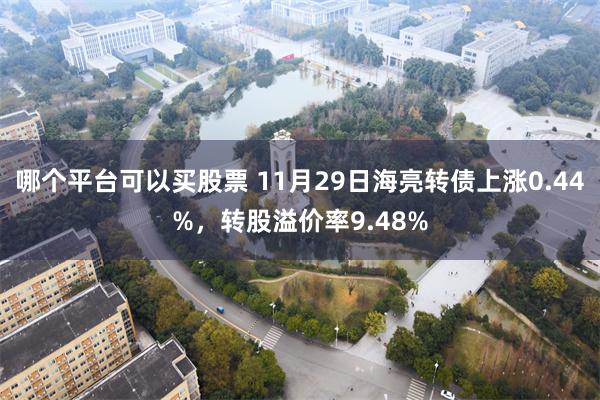 哪个平台可以买股票 11月29日海亮转债上涨0.44%，转股溢价率9.48%