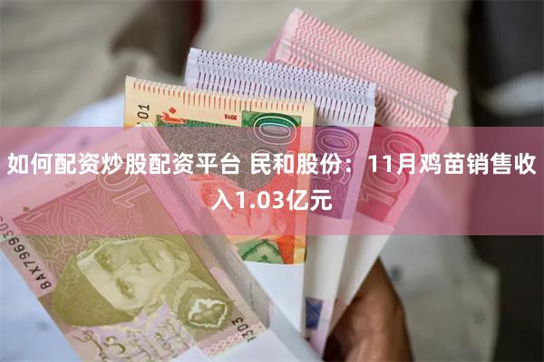 如何配资炒股配资平台 民和股份：11月鸡苗销售收入1.03亿元