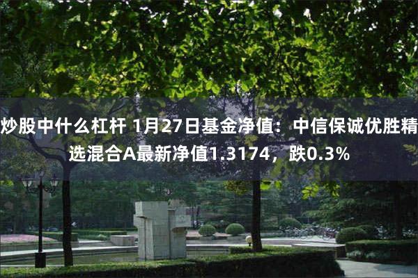 炒股中什么杠杆 1月27日基金净值：中信保诚优胜精选混合A最新净值1.3174，跌0.3%