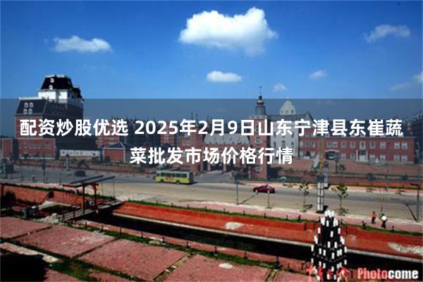 配资炒股优选 2025年2月9日山东宁津县东崔蔬菜批发市场价格行情