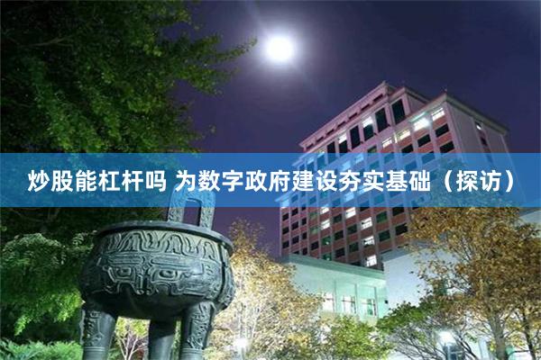 炒股能杠杆吗 为数字政府建设夯实基础（探访）