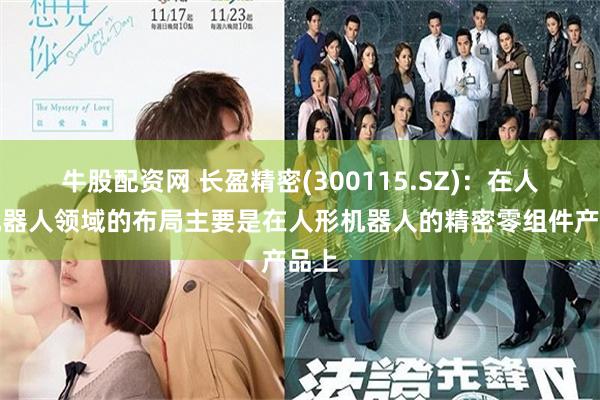 牛股配资网 长盈精密(300115.SZ)：在人形机器人领域的布局主要是在人形机器人的精密零组件产品上